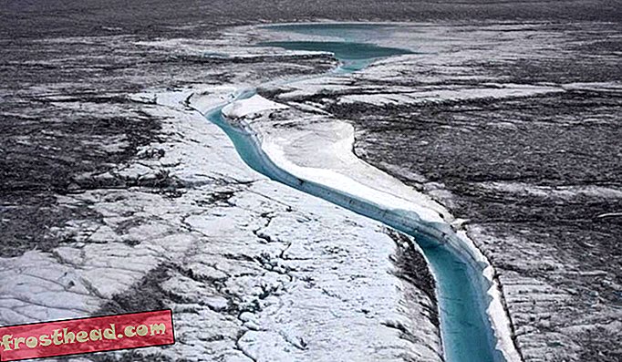 Velika prostranstva kriokonita - ali ledenega prahu - prekrivajo ledeni list Grenlandije in druge ledenike po vsem svetu, potemnejo njihove površine in povzročajo absorpcijo toplote sonca.