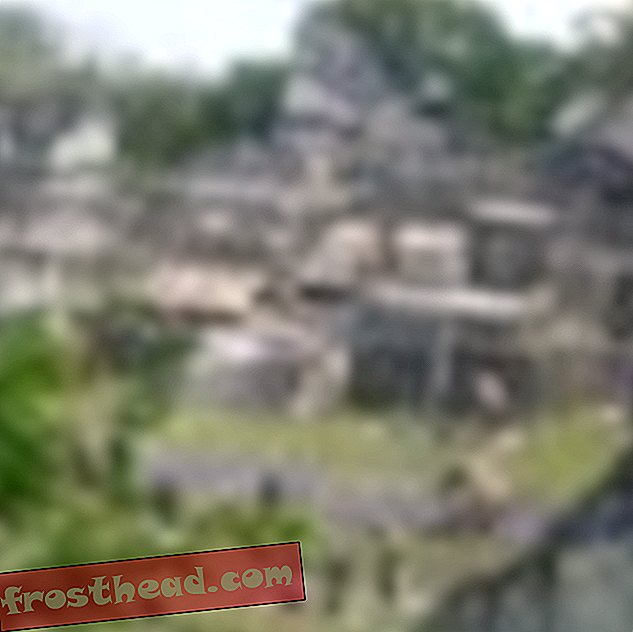 Pilt: Tikal