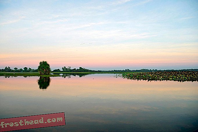 Kakadu Yellow Water.jpg