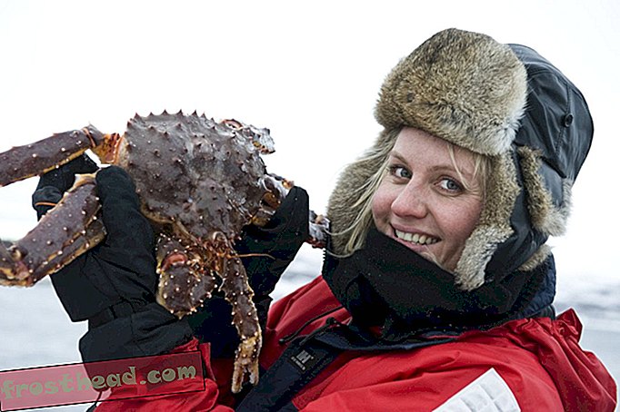 Fille-avec-le-crabe-roi Kirkenes-072009-99-0057.jpg