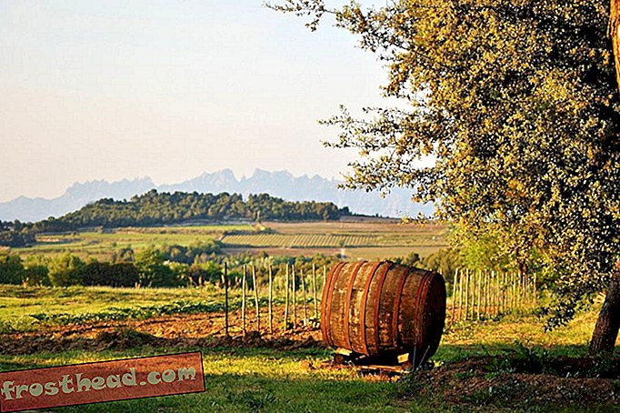 Winery-Maria-Rosa-Ferre-WEB RESIZE.jpg
